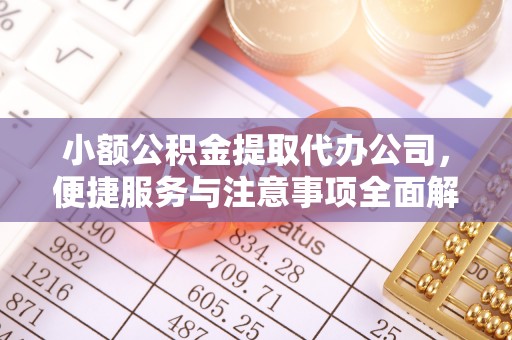 西华小额公积金提取代办公司，便捷服务与注意事项全面解析