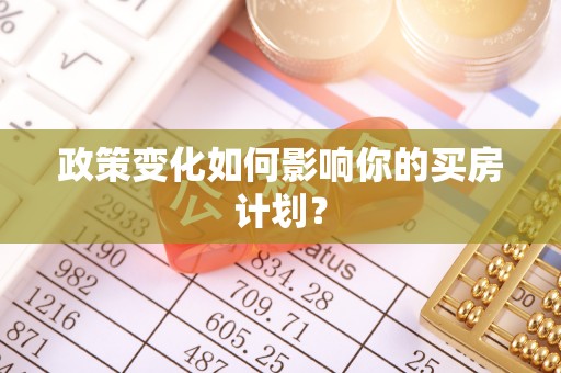西华政策变化如何影响你的买房计划？