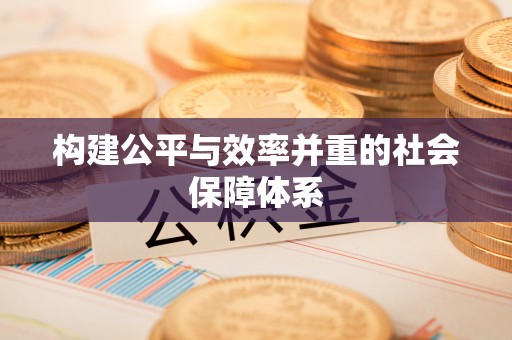 西华构建公平与效率并重的社会保障体系