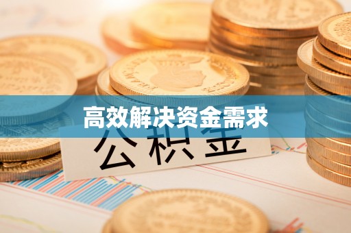 西华高效解决资金需求