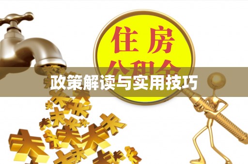 西华政策解读与实用技巧