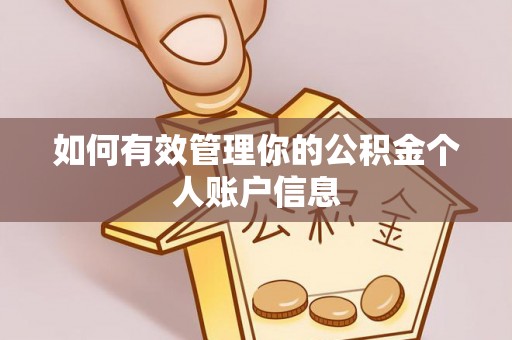 西华如何有效管理你的公积金个人账户信息